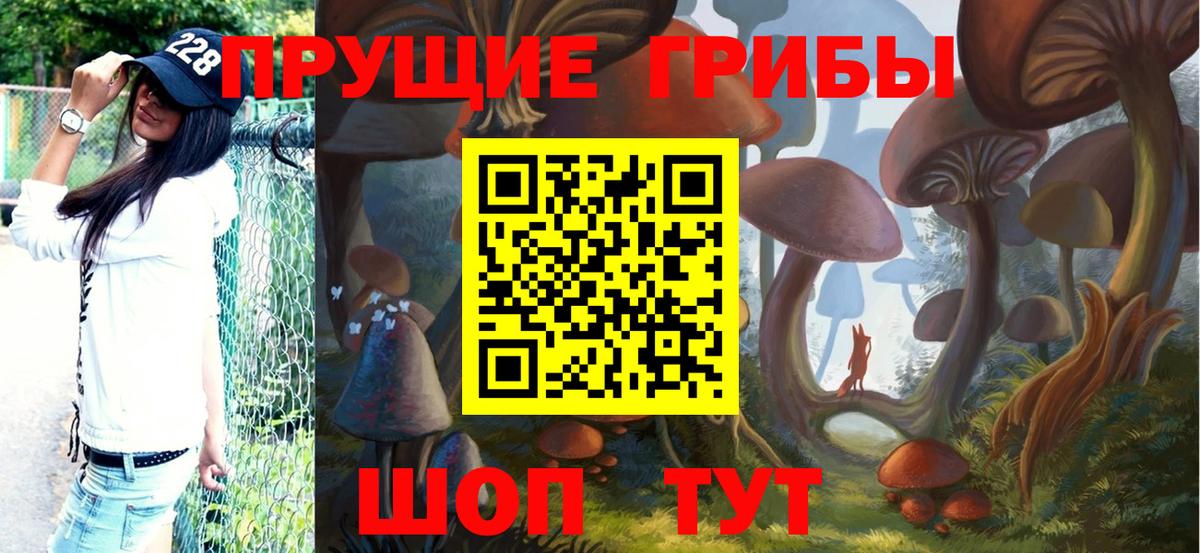 Галлюциногенные грибы Cubensis Междуреченск