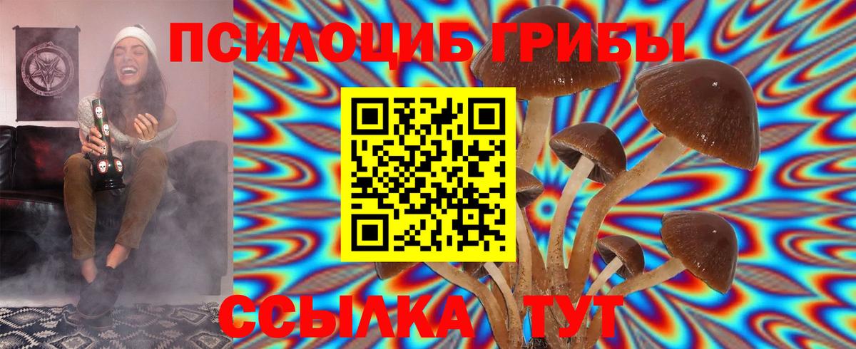 Междуреченск  Псилоцибиновые грибы Cubensis  Галлюциногенные грибы прущие грибы  Вход с VPN 